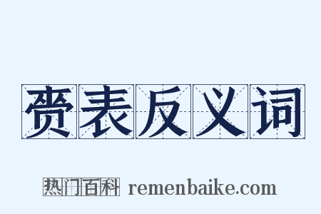 赍表反义词是什么意思的图片